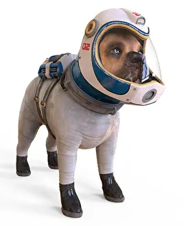 Space Suit Prints: Dog in an astronaut's space suit. 3D illustration isolated on white