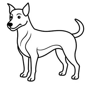 Biting Prints: DOG LINE ART DESIGN