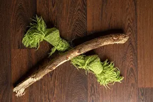 Ends Prints: dog toys that he likes to gnaw