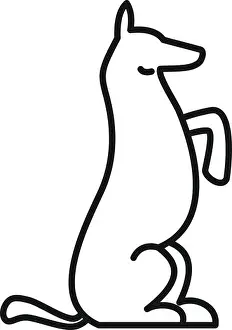 Labrador Prints: Dog training icon. Outline dog training vector icon for web design isolated on white background