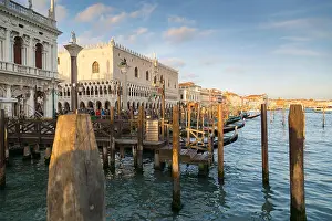 People In The Background Prints: Doge's Palace and Grand Canal, Venice, UNESCO, Veneto, Italy