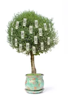 Benjamin Prints: One hundred dollar pot tree over white background