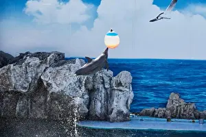 Slimy Prints: Dolphin jumping and playing ball