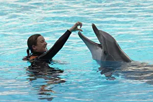 Water Pool Prints: Dolphin trainer in a public show, theme park, Italy