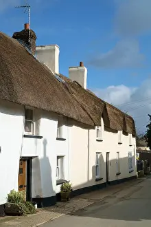 Bucolic Prints: Around Dolton a village in the Torridge district of North Devon UK