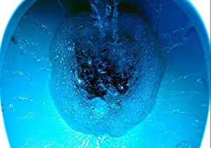 Water Blue Prints: A domestic toilet flushing water.Digitally colored