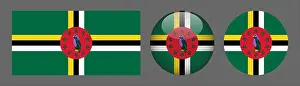 Waved Prints: Dominica Flag set collection Vector