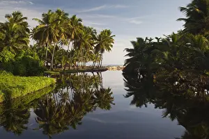 Latino Prints: Dominican Republic, North Coast, Nagua, Playa Los Gringos beach, palms