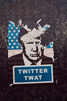 Donald Trump Twitter Twat poster