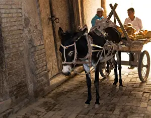Donkey Prints: A donkey cart in the narrow old streets of Kashgar