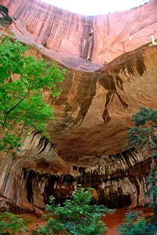 Pioneer Prints: Double Arch Alcove on Taylor Creek Trail in Kolob Canyons in Zion National Park, Utah