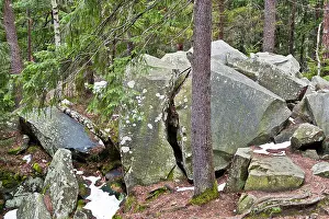 High Hill Prints: Dovbush rocks in green forest at Carpathian mountains