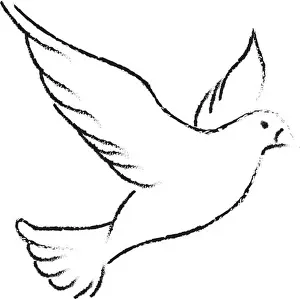 Vintage Blue Prints: Dove drawing, illustration, vector on white background