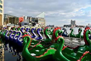 City Scape Prints: Dragon boats at the Baltimore inner harbor, MD, USA