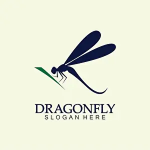 Dragonfly Prints: Dragonfly Logo Vector icon illustration design template