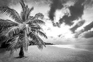 Dramatic landscape of paradise tropical island beach with perfect sunny sky, artistic black and white process