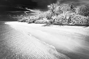 Dramatic landscape of paradise tropical island beach with perfect sunny sky, artistic black and white process