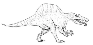 Perm Prints: Drawing of dinosaur - hand sketch of spinosaurus, black and white illustration