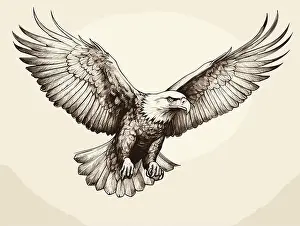 Claw Prints: Drawing of Flying eagle logotype mascot in engraving style illustration separated