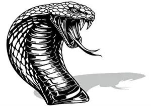 Venomous Prints: Drawing of an Indian Cobra Head