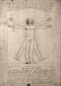 Leonardo Da Vinci Prints: Drawing, Leonardo da Vinci, Vitruvian man, Italy
