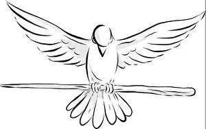 Scratched Prints: Drawing sketch style illustration of a soaring dove or pigeon with wing spread clutching a wooden staff or cane viewed