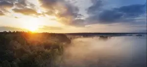Serene Atmosphere Prints: Dreamy foggy morning in a field with a forest against the backdrop of a cloudy sky