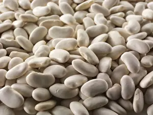 Healthiness Prints: Whole dried white dermason beans - close up full frame top shot. (Phaseolus vulgaris)