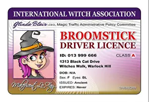 Wizard Prints: Driver's license for witches, license to ride a broomstick