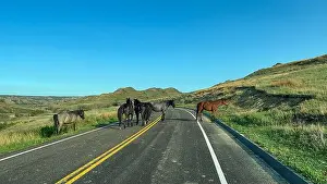 Valley View Prints: Driving through the badlands hills