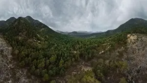 Drone aerial top view of lush green trees growing in woodland against cloudy mountain in countryside