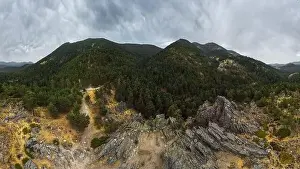 Drone aerial top view of lush green trees growing in woodland against cloudy mountain in countryside
