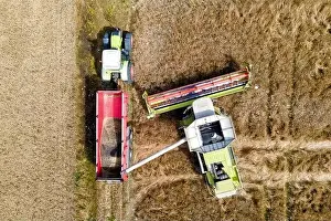 drone aerial view of a modern combine harvester pourring crop in a tractor dump