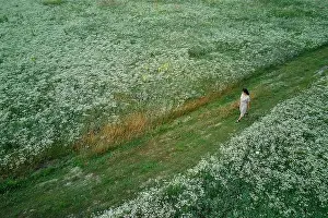 Slow Motion Prints: Drone aerial view of woman in dress walking in flower blooming meadow