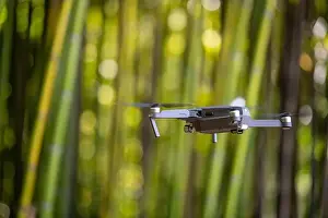 Drone in Bamboo plantation, Green bamboo fence texture background, bamboo texture