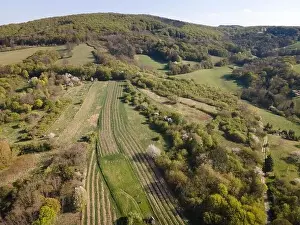 Drone flight over green meadows, forests, landscape, nature in April in Austria