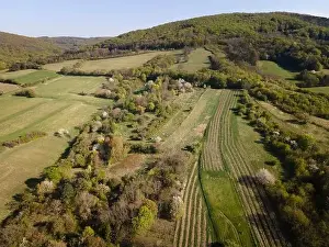 Spring Park Prints: Drone flight over green meadows, forests, landscape, nature in April in Austria