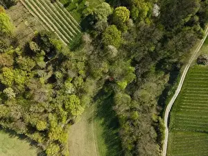 Spring Park Prints: Drone flight over green meadows, forests, landscape, nature in April in Austria