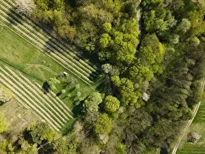 Spring Park Prints: Drone flight over green meadows, forests, landscape, nature in April in Austria