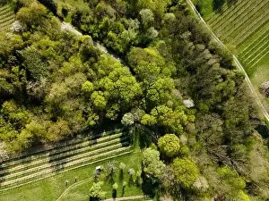 Drone flight over green meadows, forests, landscape, nature in April in Austria