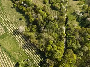 Drone flight over green meadows, forests, landscape, nature in April in Austria