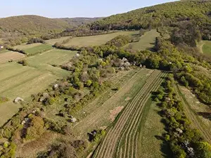 Spring Park Prints: Drone flight over green meadows, forests, landscape, nature in April in Austria