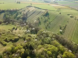 Drone flight over green meadows, forests, landscape, nature in April in Austria