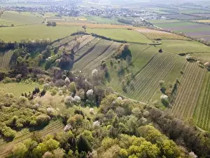 Spring Park Prints: Drone flight over green meadows, forests, landscape, nature in April in Austria