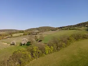 Spring Park Prints: Drone flight over green meadows, forests, landscape, nature in April in Austria