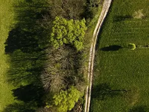 Spring Park Prints: Drone flight over green meadows, forests, landscape, nature in April in Austria