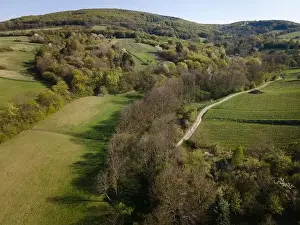 Spring Park Prints: Drone flight over green meadows, forests, landscape, nature in April in Austria