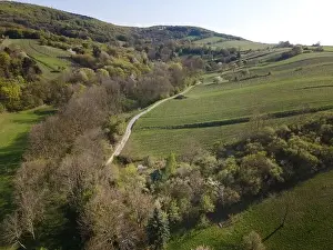 Spring Park Prints: Drone flight over green meadows, forests, landscape, nature in April in Austria