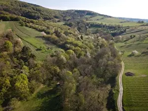 Spring Park Prints: Drone flight over green meadows, forests, landscape, nature in April in Austria