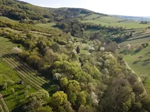 Spring Park Prints: Drone flight over green meadows, forests, landscape, nature in April in Austria